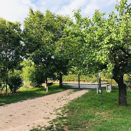 Una Casa Di Campagna Dossobuono Zewnętrze zdjęcie