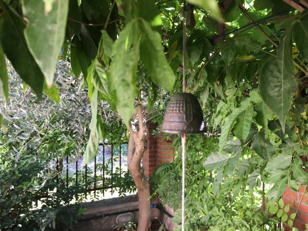 Una Casa Di Campagna Dossobuono Zewnętrze zdjęcie