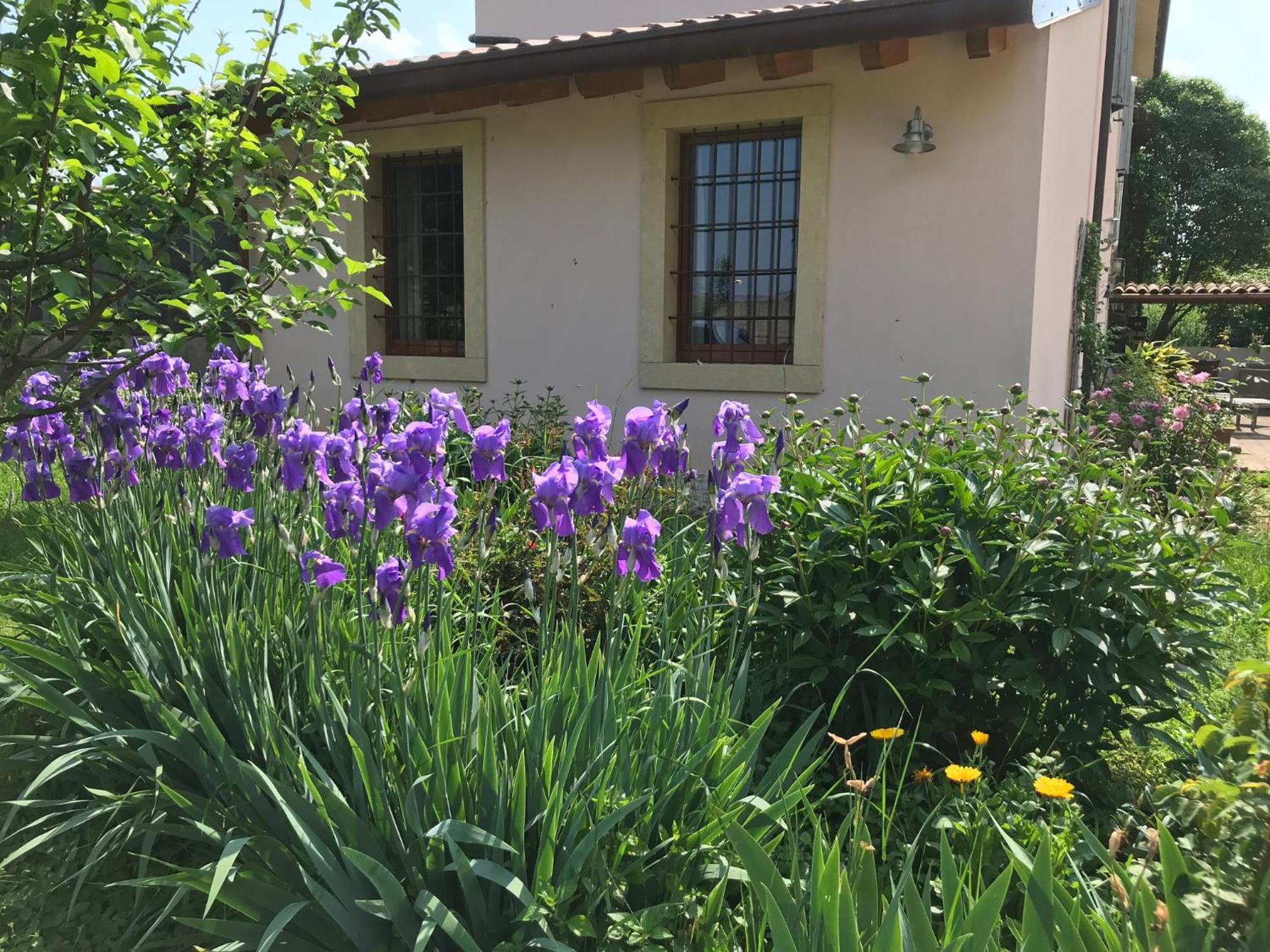 Una Casa Di Campagna Dossobuono Zewnętrze zdjęcie